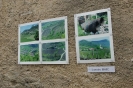Ekstempore med šmarenskimi griči 2011_24
