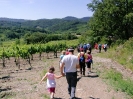 Med šmarenskimi griči 2011_57