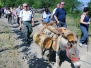 Med šmarenskimi griči 2011_77