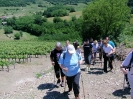 Med šmarenskimi griči 2011_83
