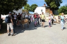 Med šmarenskimi griči 2011