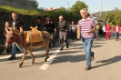 Pohod čez Školj in Tibot 2012_53