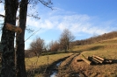 Čez Školj in Tibot pozimi_3