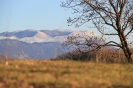 Čez Školj in Tibot pozimi_8