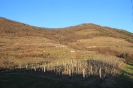 Čez Školj in Tibot pozimi_9